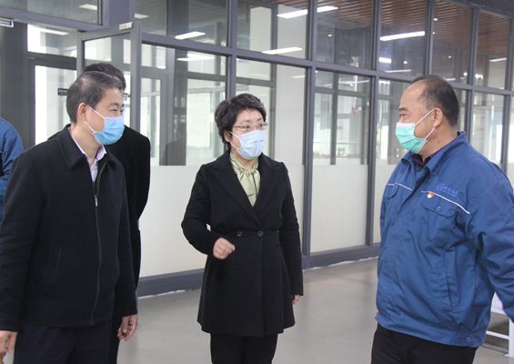 天臺(tái)縣政府代縣長楊玲玲一行蒞臨公司參觀考察